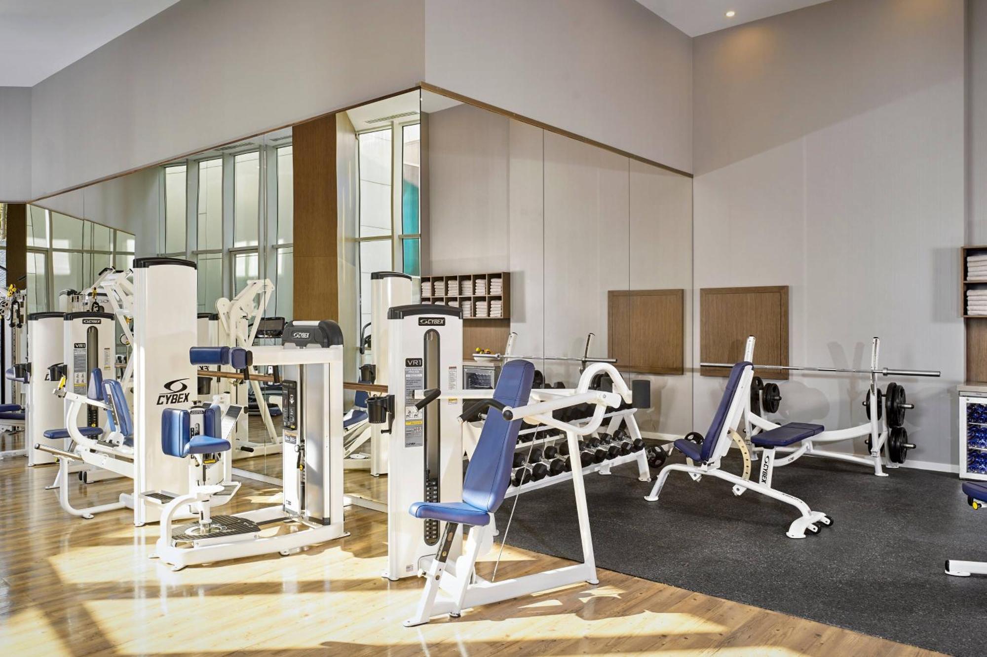 Paragraph Resort & Spa Shekvetili, Autograph Collection Luaran gambar A typical gym