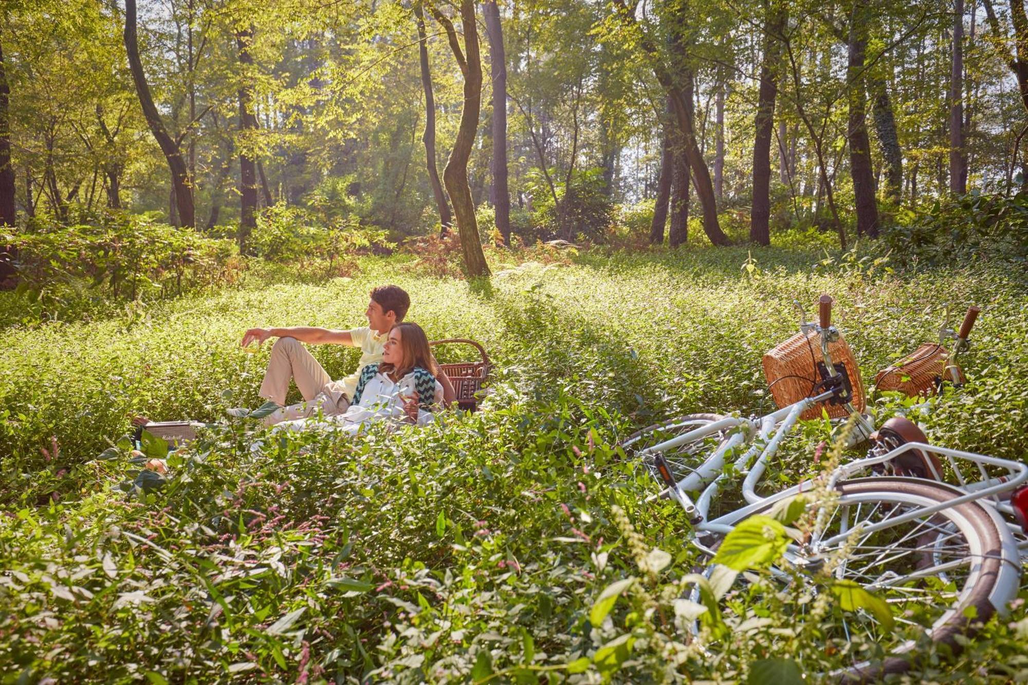 Paragraph Resort & Spa Shekvetili, Autograph Collection Luaran gambar A picnic in the woods