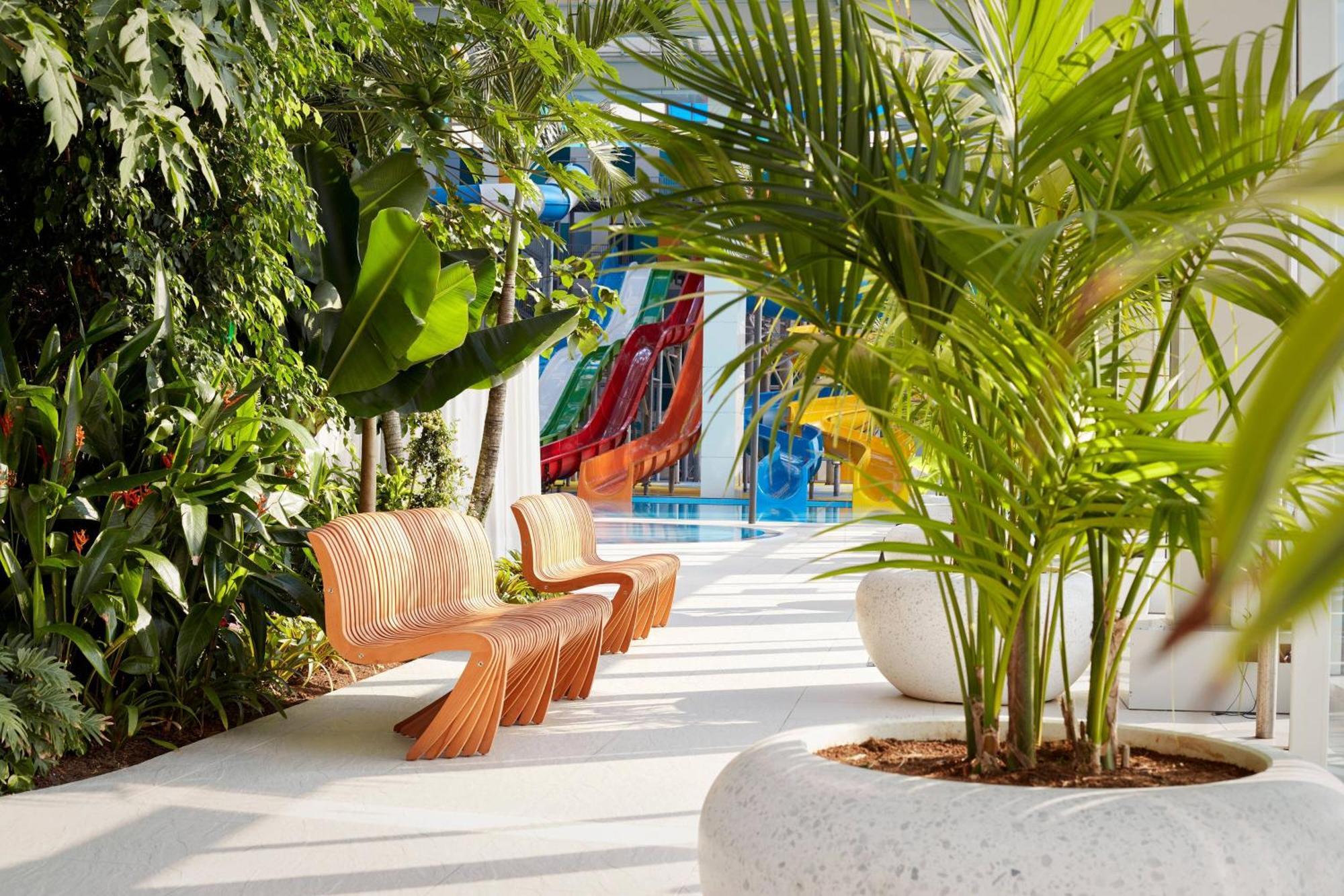 Paragraph Resort & Spa Shekvetili, Autograph Collection Luaran gambar The park