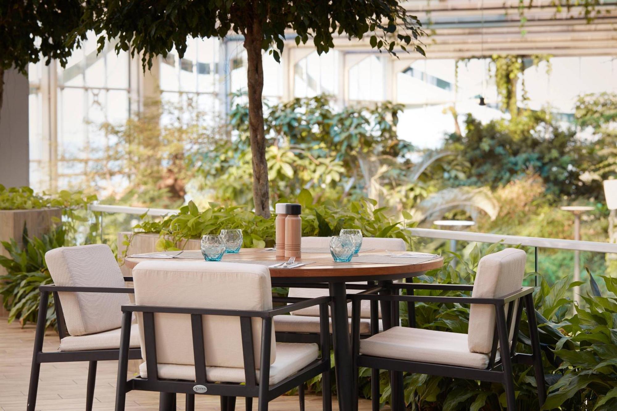 Paragraph Resort & Spa Shekvetili, Autograph Collection Luaran gambar The Terrace