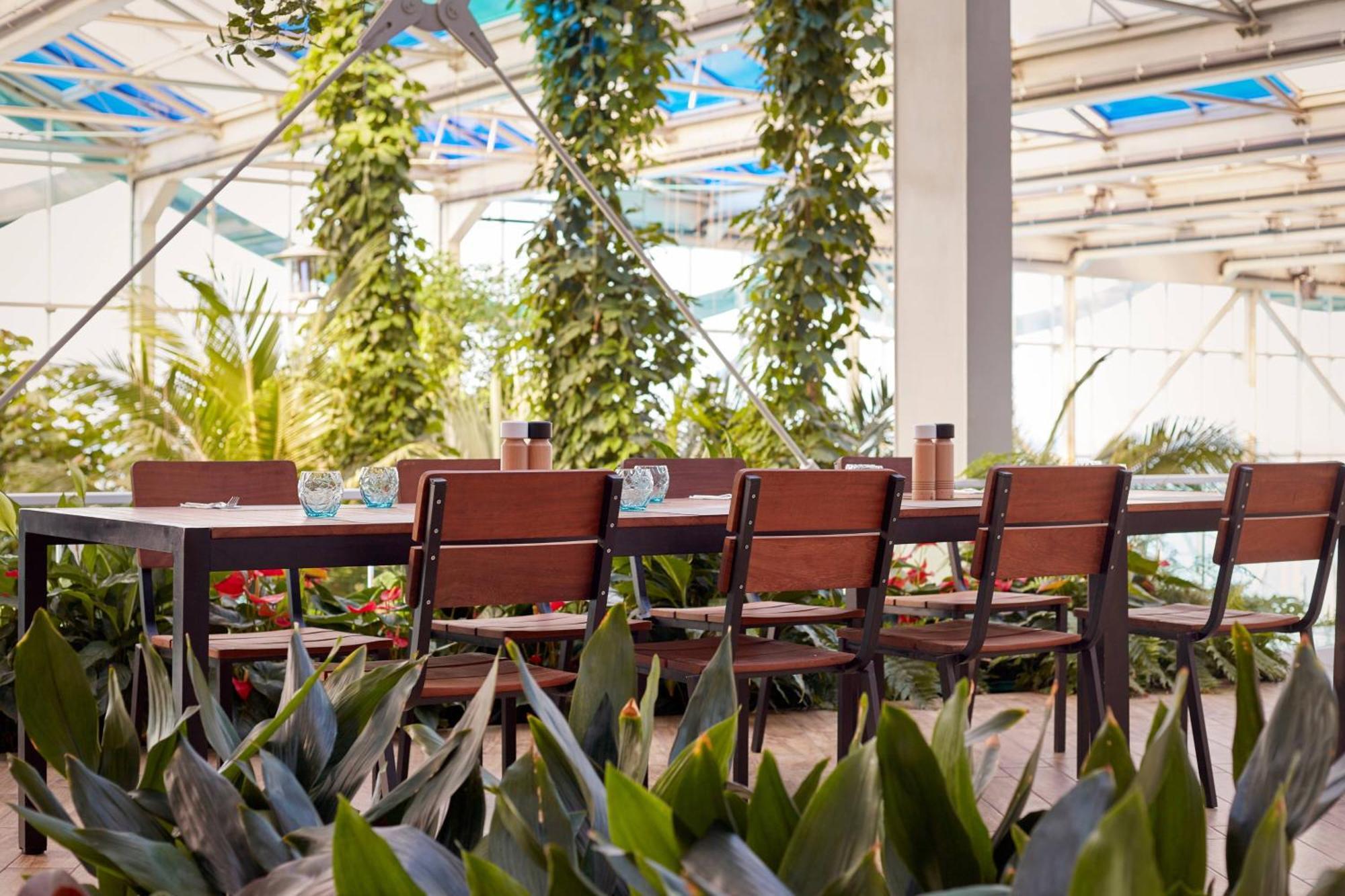 Paragraph Resort & Spa Shekvetili, Autograph Collection Luaran gambar The restaurant